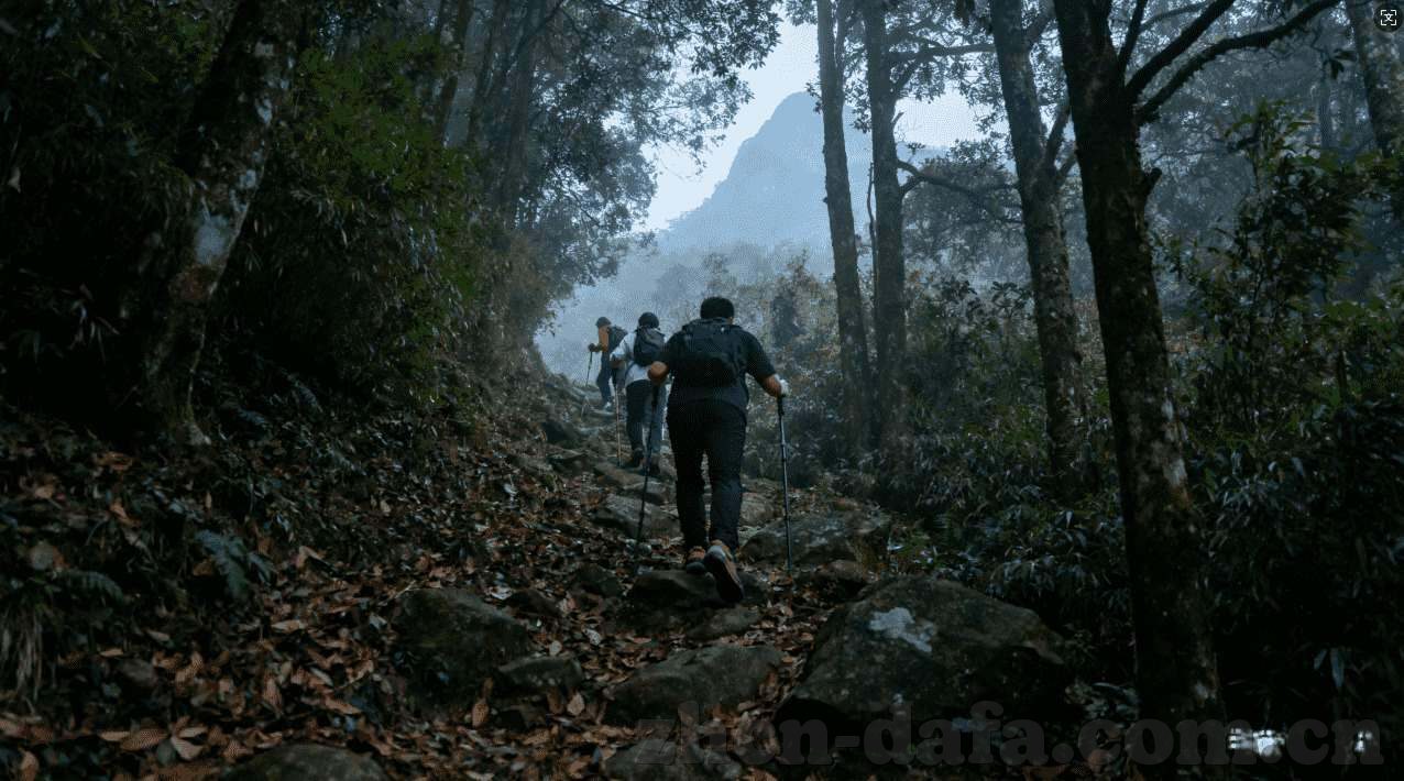 星空体育官网登录-星空下的体育盛宴，解锁星空体育官网登录之旅
